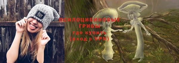 трава Аркадак