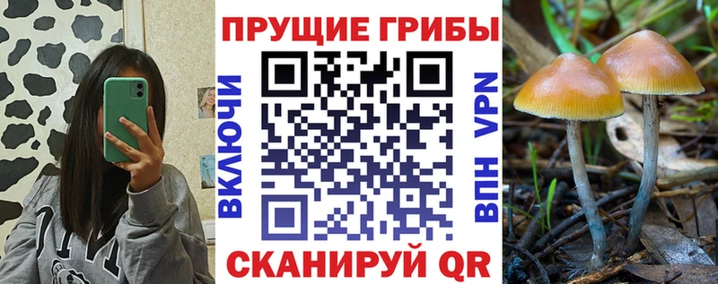 Псилоцибиновые грибы MAGIC MUSHROOMS  kraken онион  Сердобск 